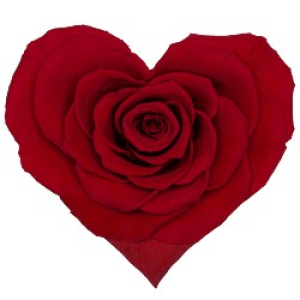 Heart rose in a flask