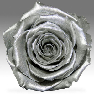 Silver rose in a flask