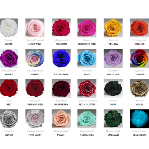 Выбрать Розу в колбе по цвету ORIGINAL