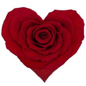 Сердце роза в колбе