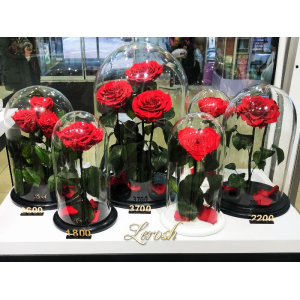 Stabilized Roses and decor wholesale ORIGINAL