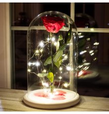 Роза в колбі з підсвіткою Lerosh - Classic 27 см
