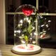 Illumination for Roses in a flask LED garland thread dew drop